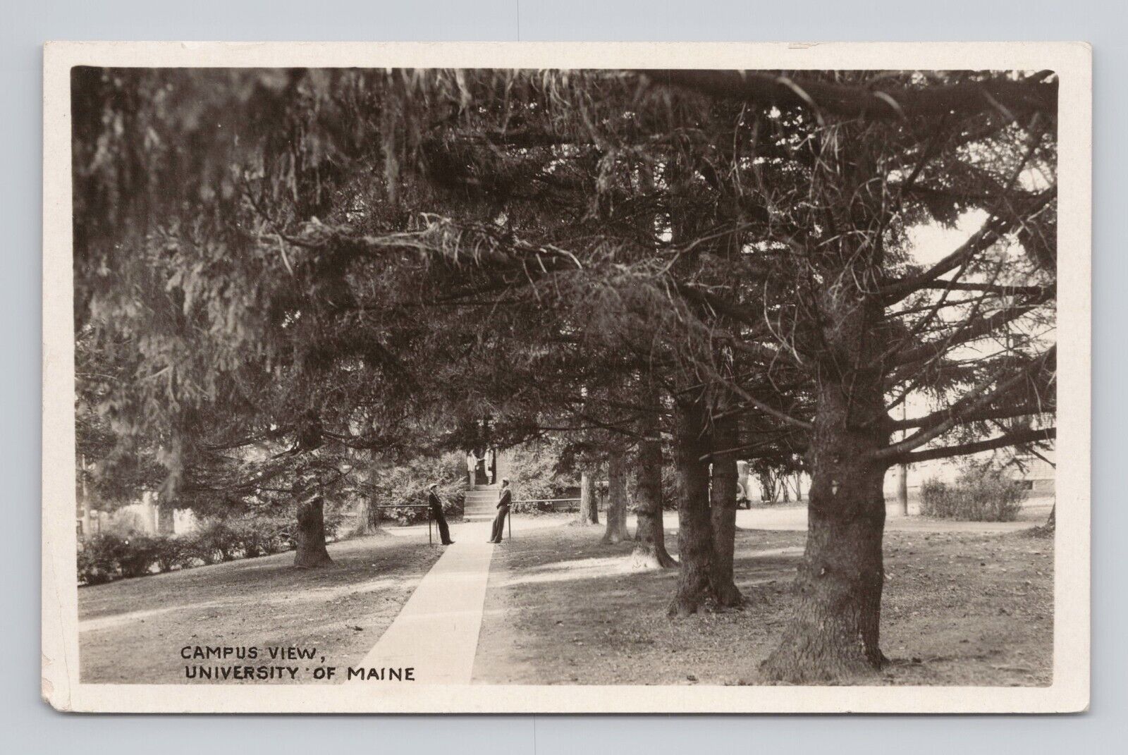 Postcard RPPC Campus View University of Maine Tree lined Path Students