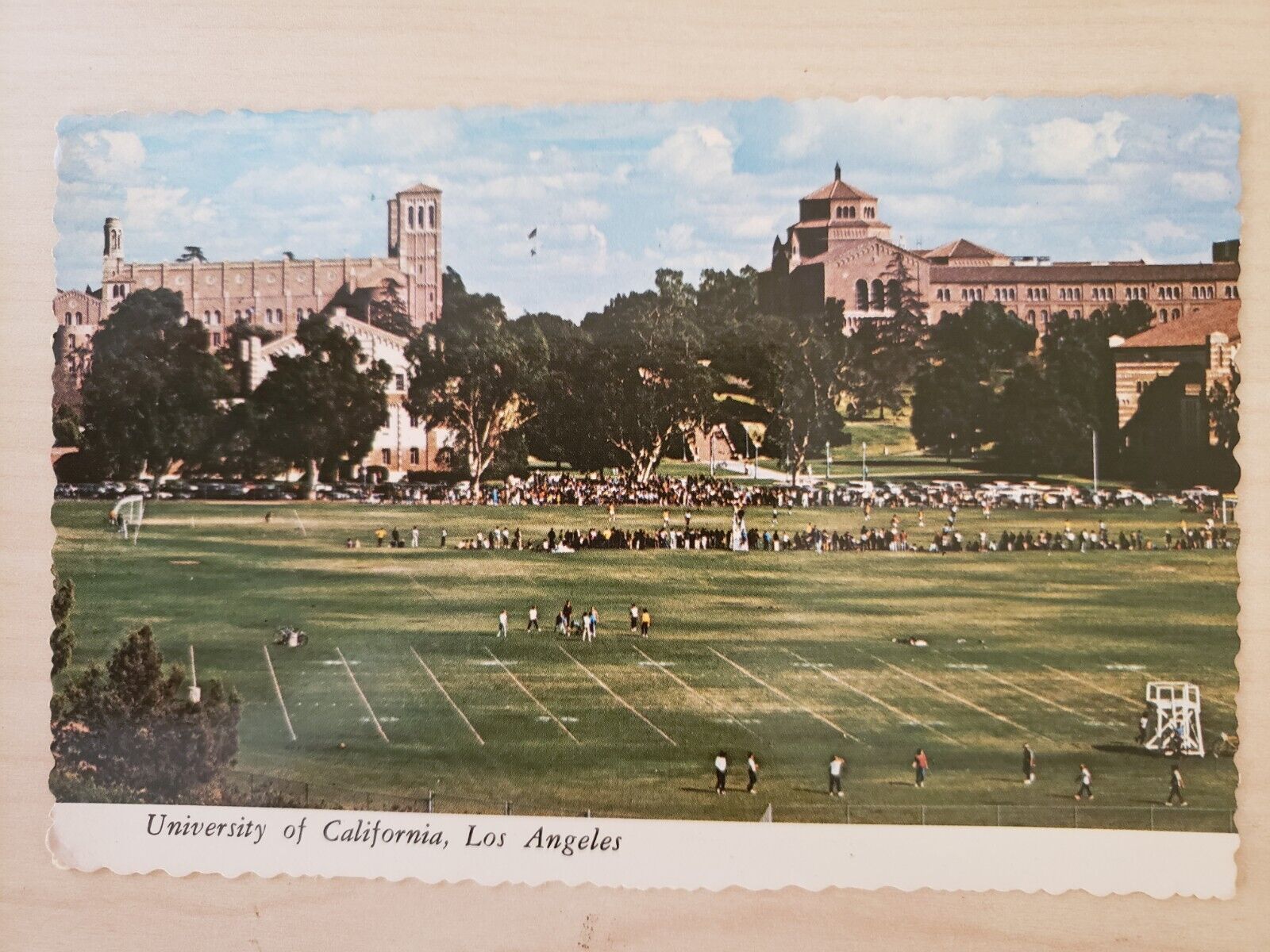 Vintage Postcard Campus of UCLA, Home of the Bruins, Los Angeles, California