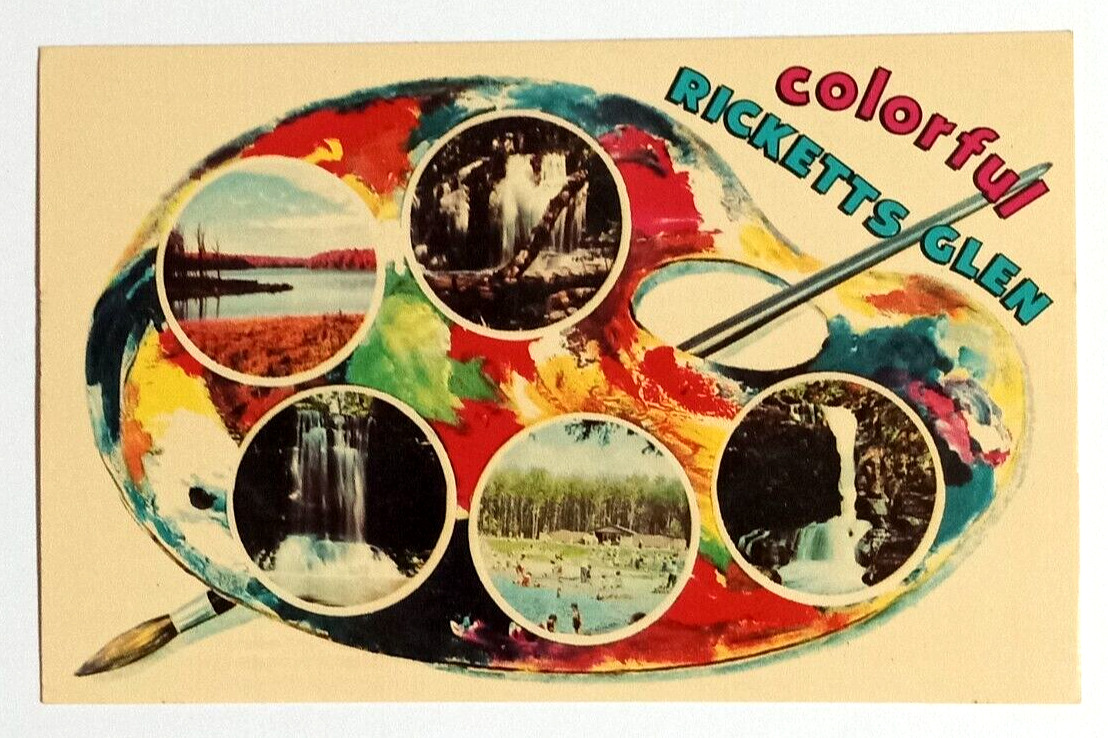 Greetings from Ricketts Glen State Park Artist Palette PA Dexter Postcard 1963
