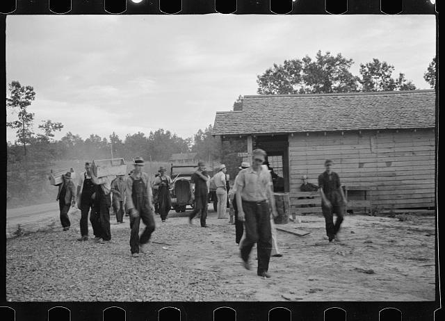 Resettled farmer,Skyline Farms,Alabama,AL,Arthur Rothstein,September 1935,16