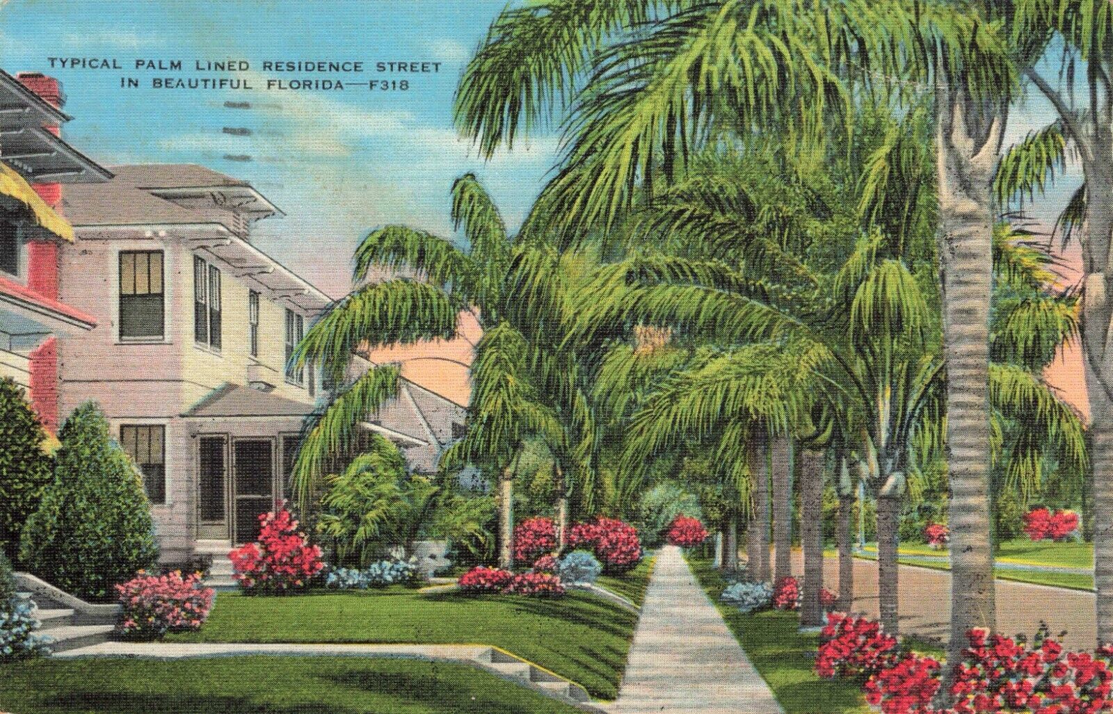 Postcard Typical Palm Lined Residence Street Florida FL Linen 1940