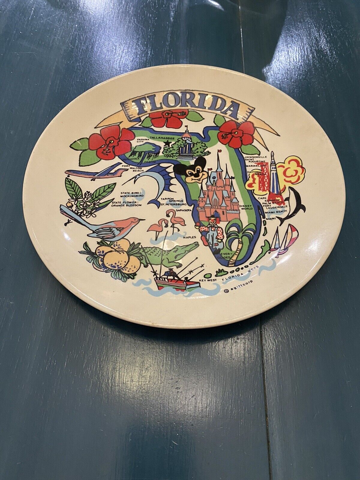 Vintage Colorful Florida State Display Decorative Commerative Plate by AGiftcorp