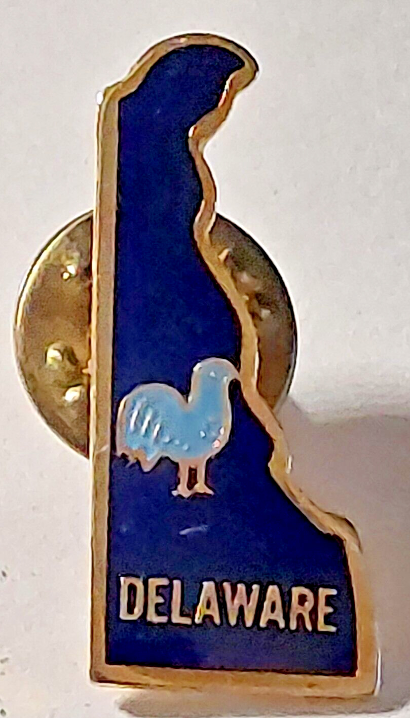 Delaware Blue Hen  Lapel Pin (02)(092523)