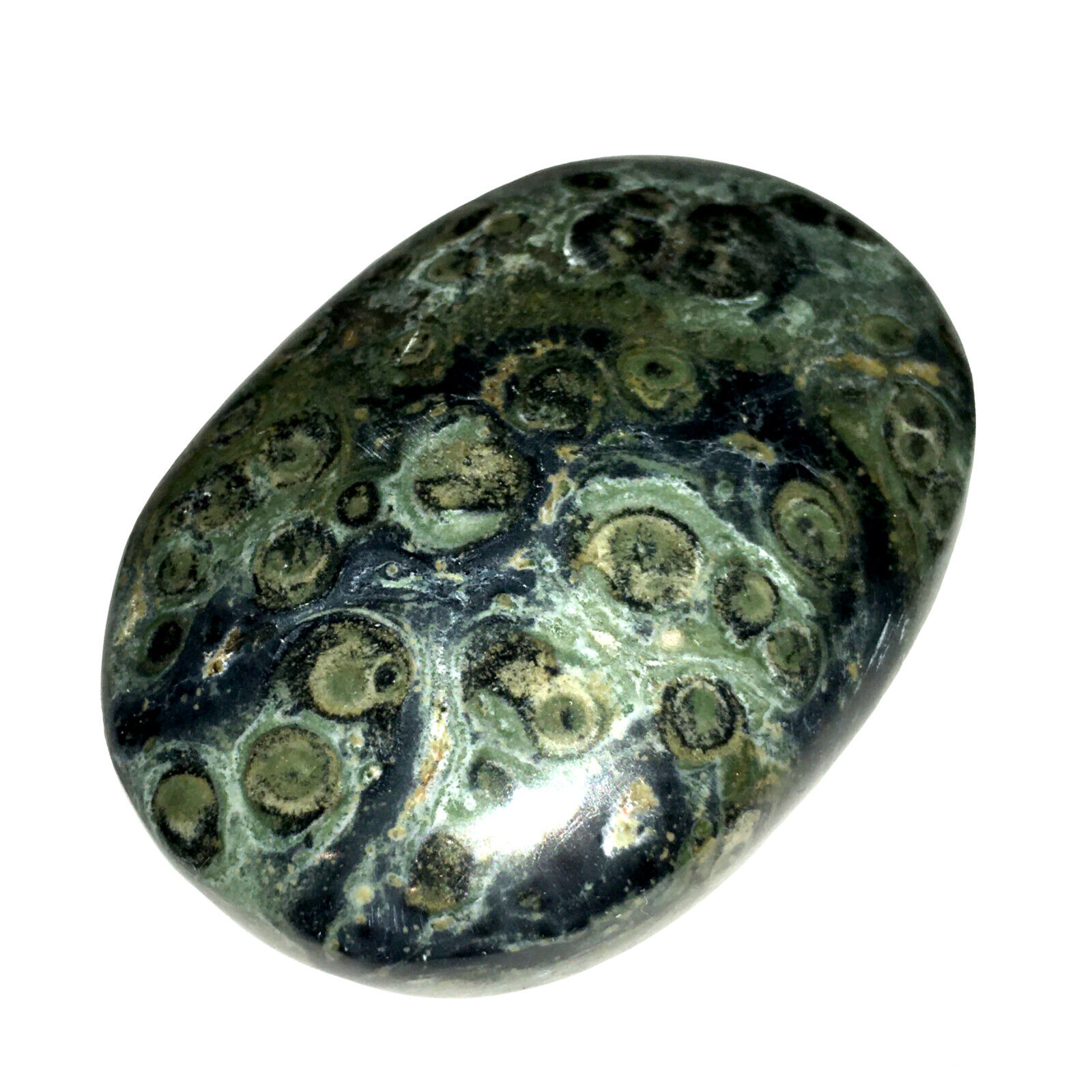 XL Kambaba Jasper Palm Stone Green Rock Crystal Healing Reiki Polished Worry Sto