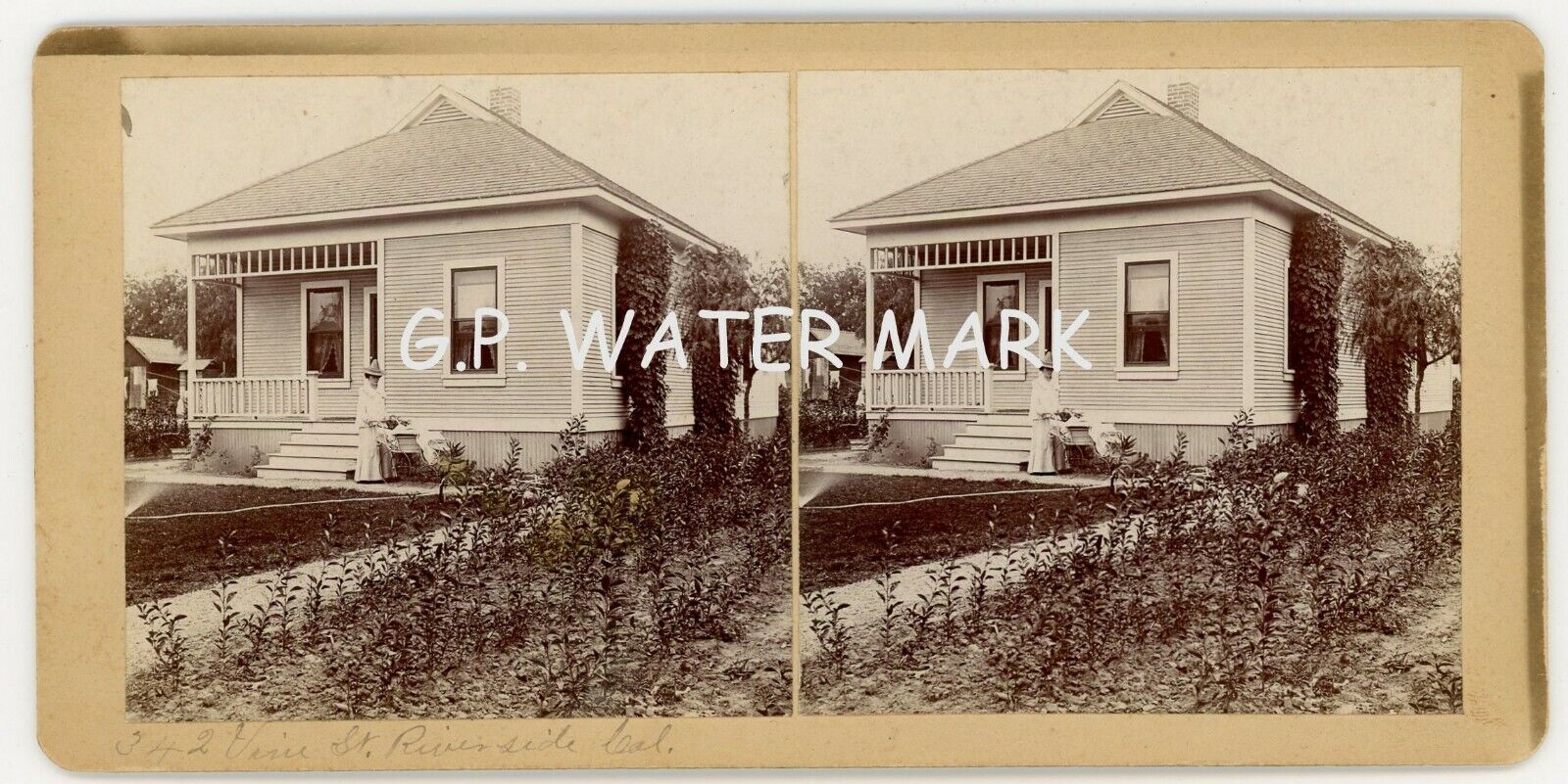 1902 Home on Vine Street Riverside California Stereoview Ca 