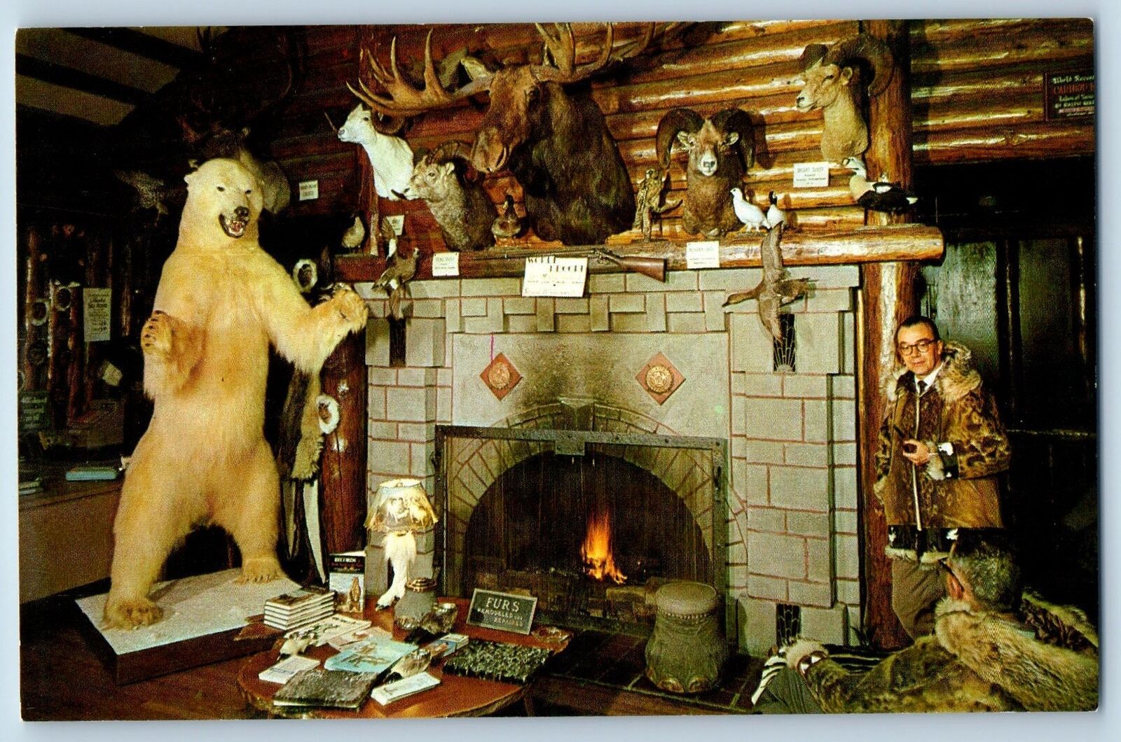 Anchorage Alaska AK Postcard Jonas Brothers Wildlife Museum Polar Bear c1960\'s