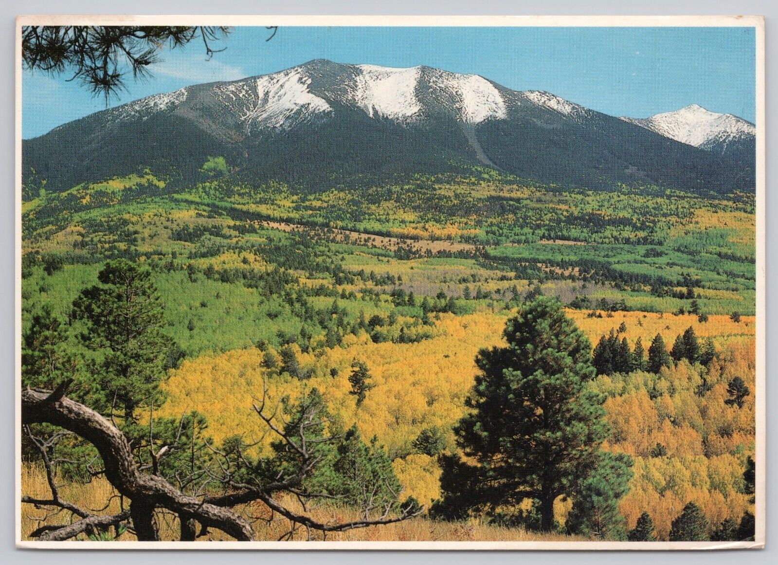 Flagstaff Arizona, San Francisco Peaks, Vintage Postcard