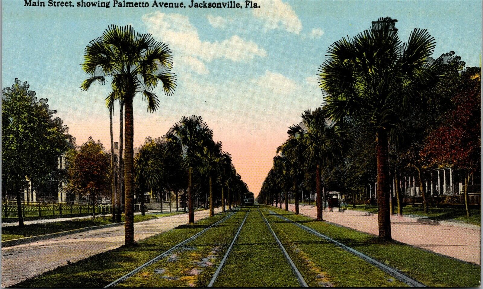 Vtg Jacksonville Florida FL Main Street showing Palmetto Avenue 1910s Postcard