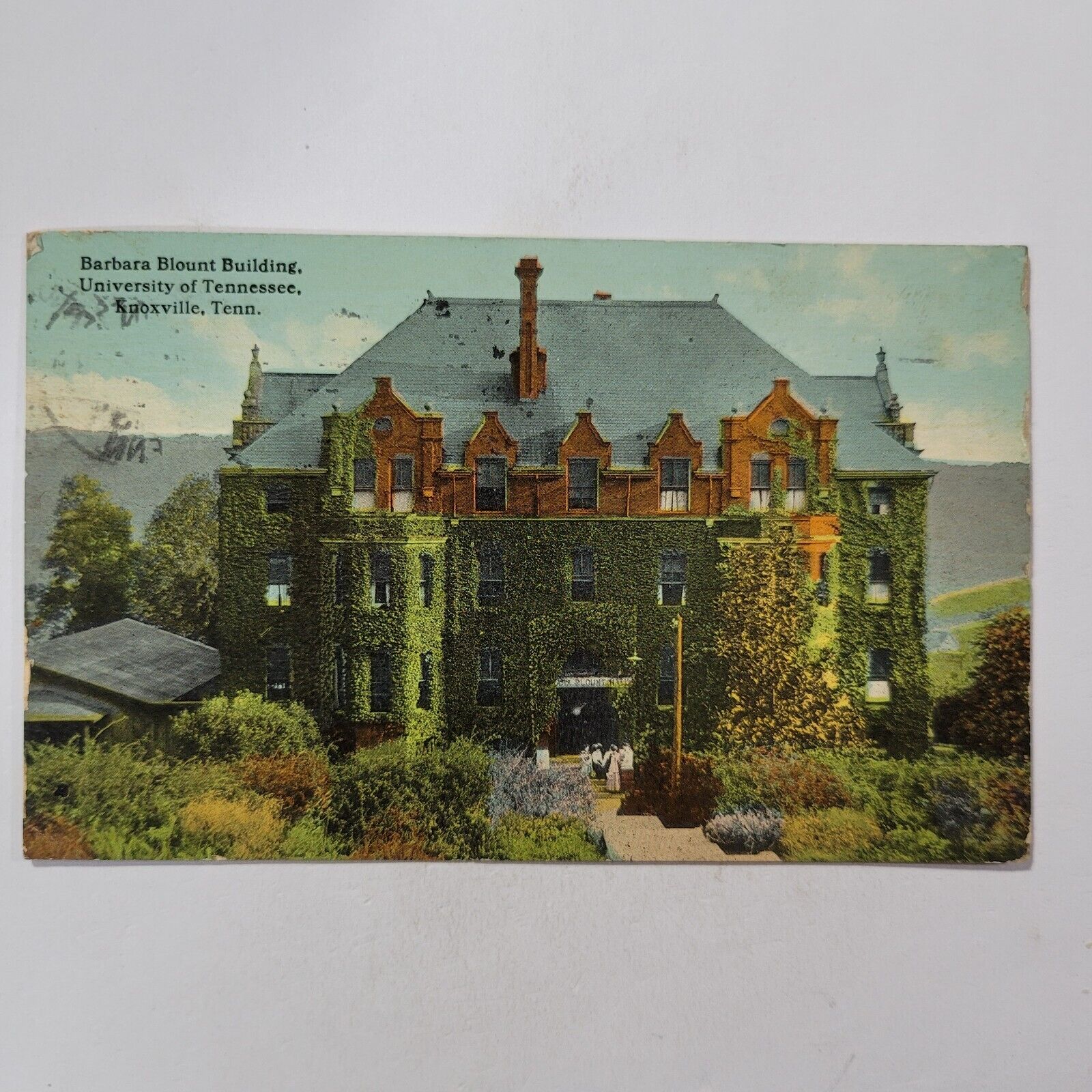Barbara Blount Building University Of Tennessee Knoxville Tenn Antique  Postcard
