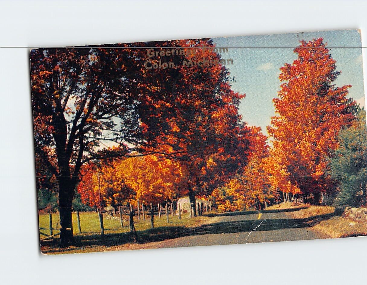 Postcard Landscape/Nature Scenery Greetings from Colon Michigan USA