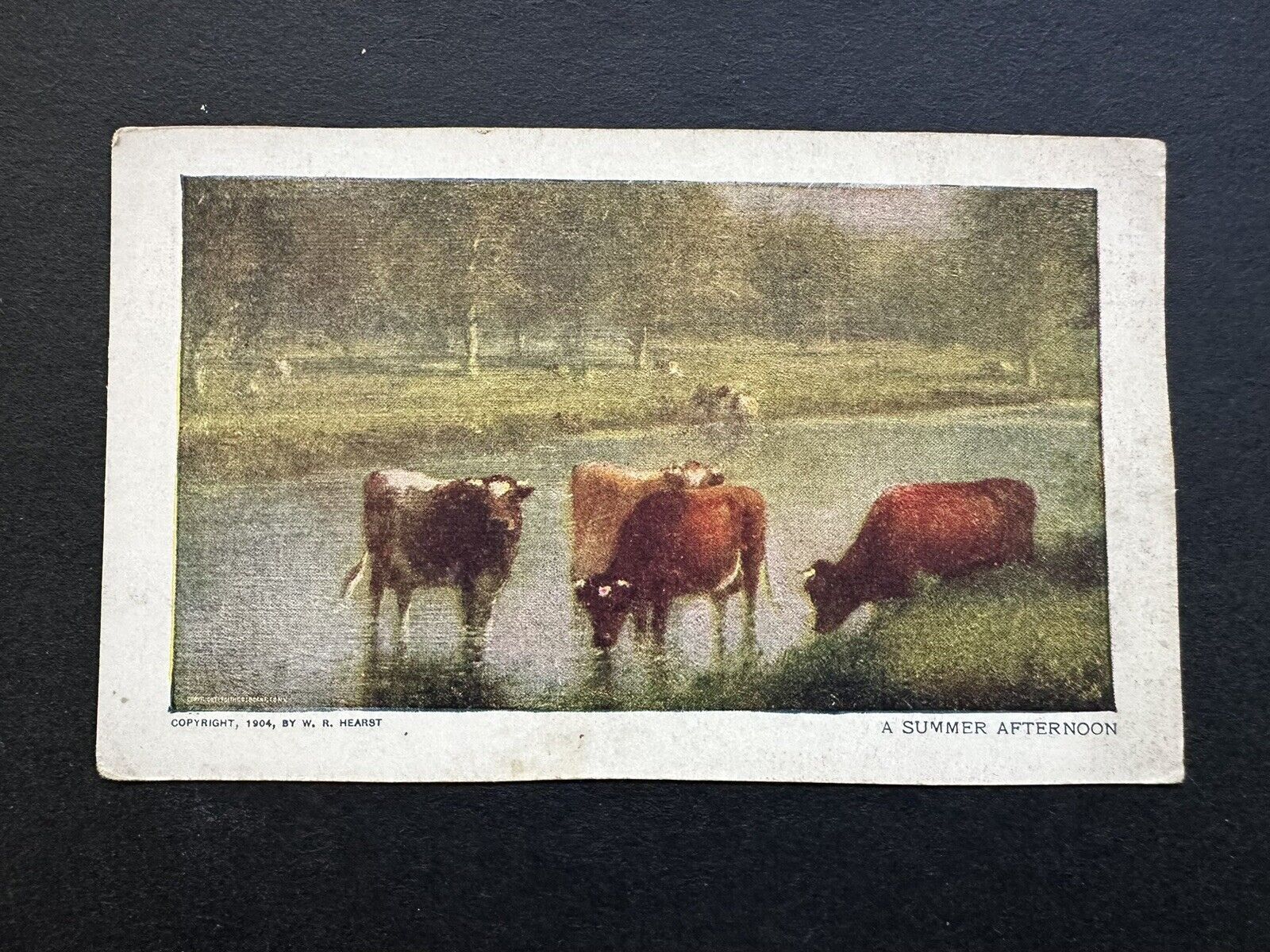 1904 Summer Afternoon Cows Postcard @ W.R. Hearst Congress Auth. 1898 Art E20