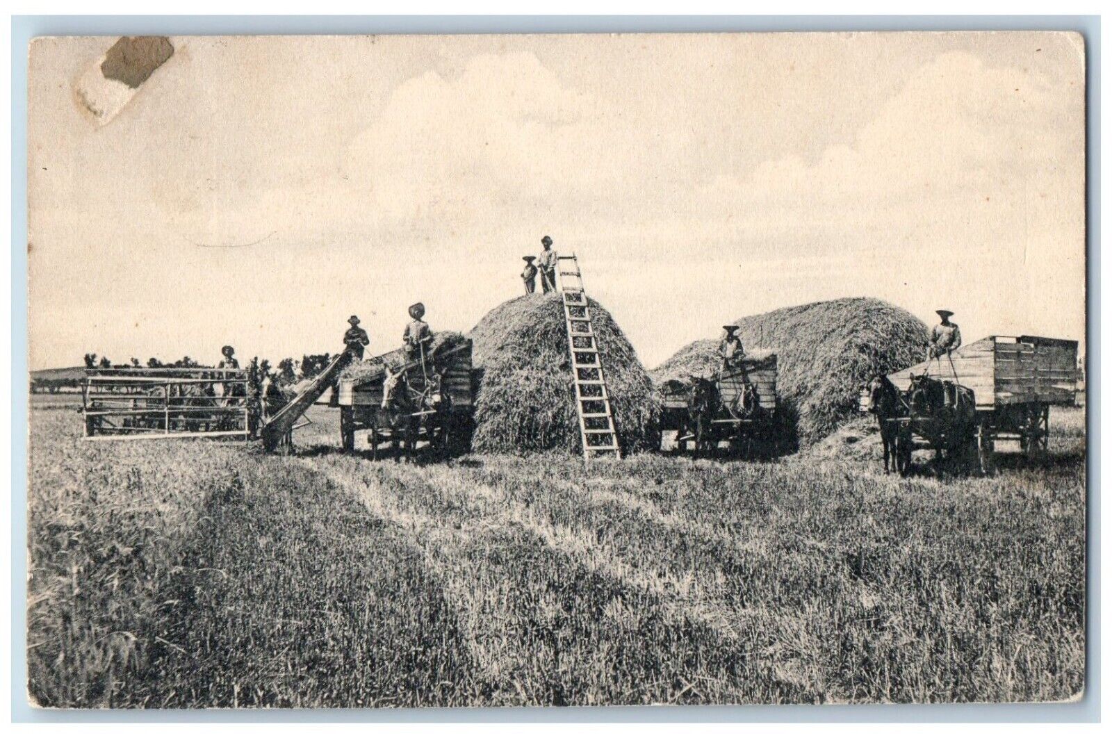 Kansas KS Postcard Farming Threshing Scene Field Telluride CO c1910's Antique
