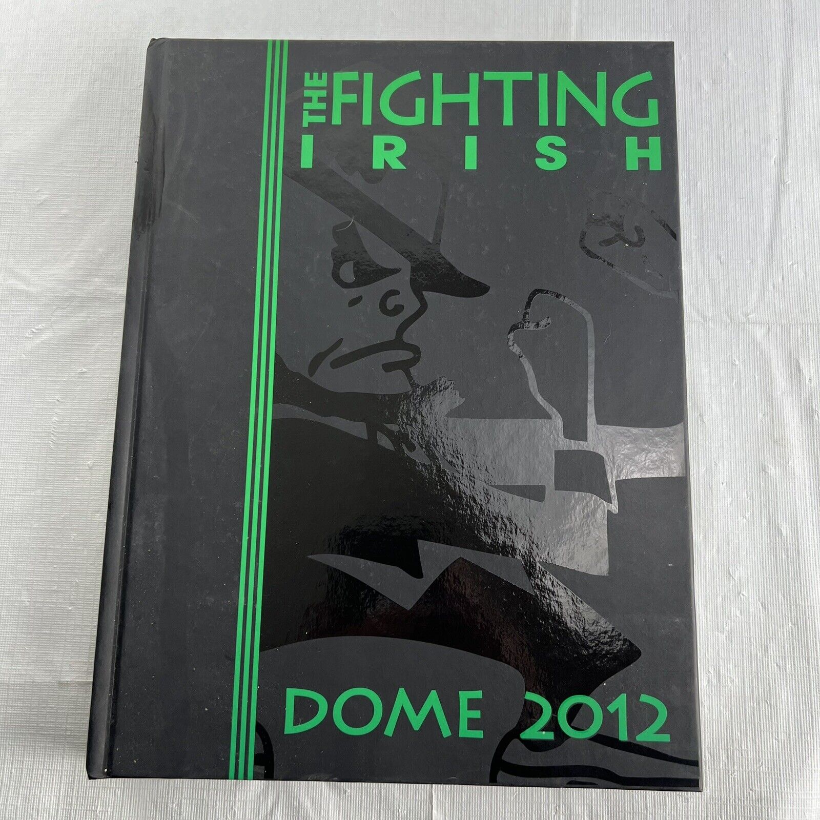 Notre Dame Yearbook The Fighting Irish Dome 2012 New