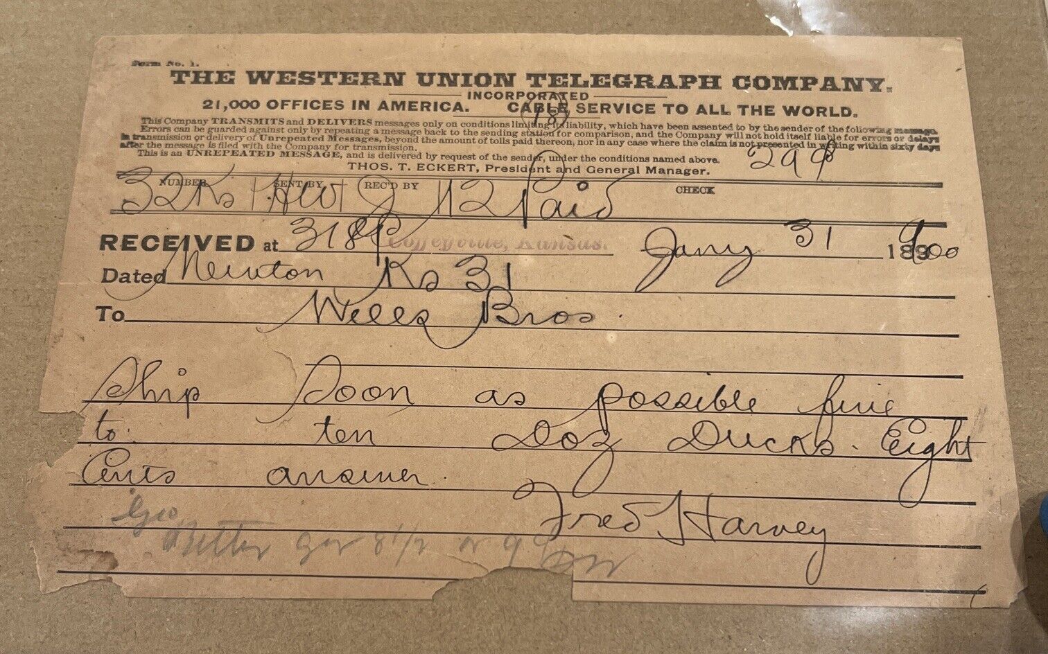 c1900 Telegraph Receipt To Wells Bros Grocers FROM FRED HARVEY SIGNED  RARE