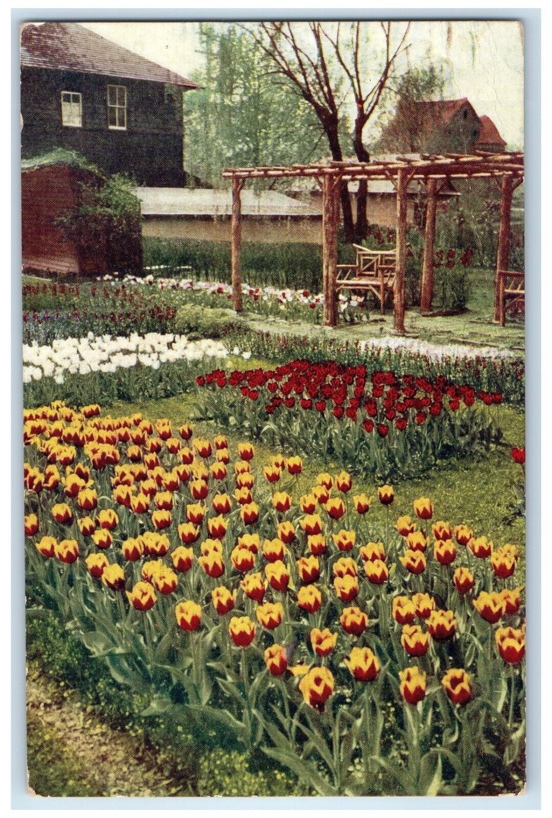 1910 Great Northern Seed Company Notice Order Rockford Illinois Vintage Postcard