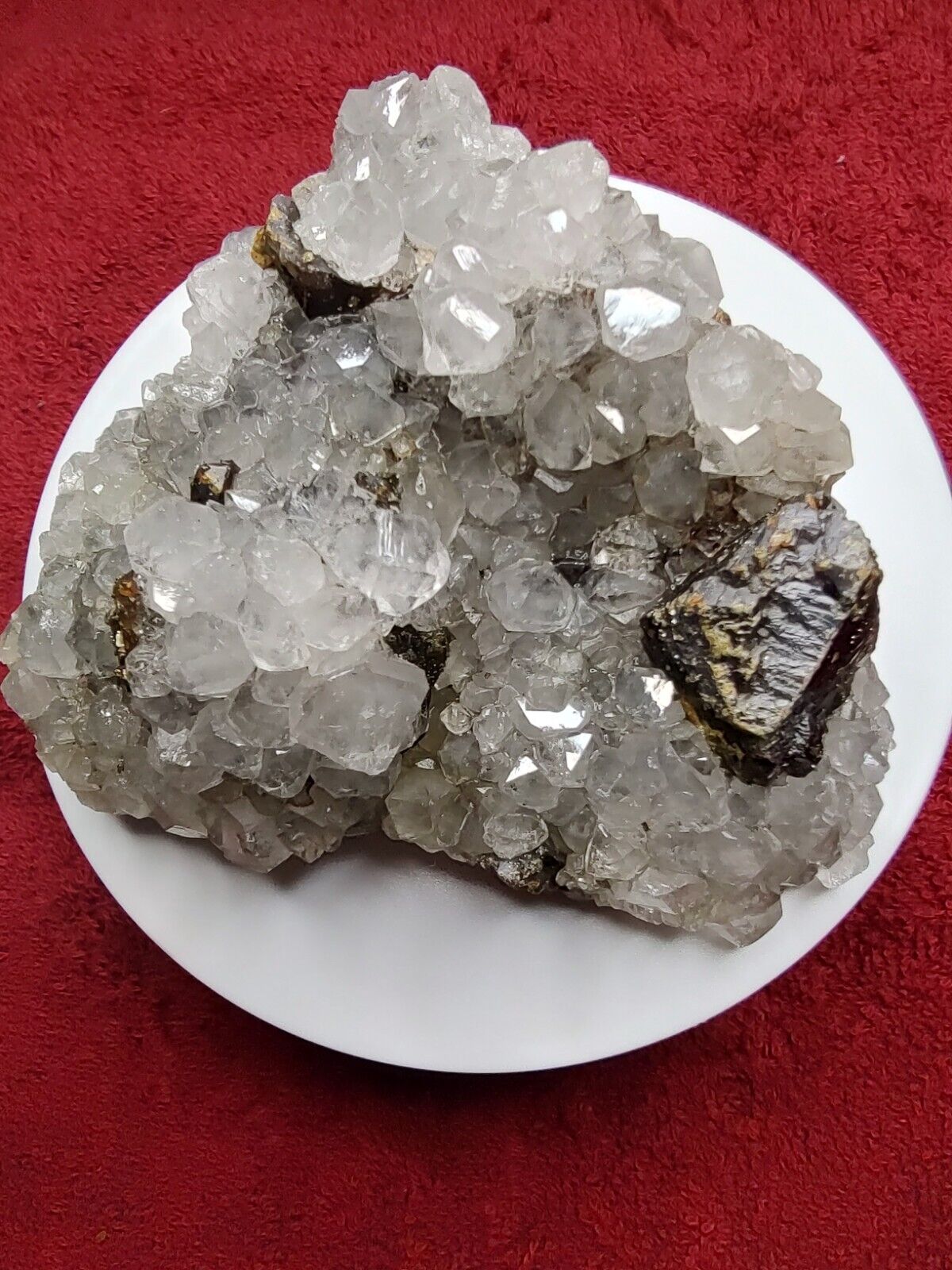 Quartz & Sphalerite Crystals On Matrix - Museum Quality From Private Collection