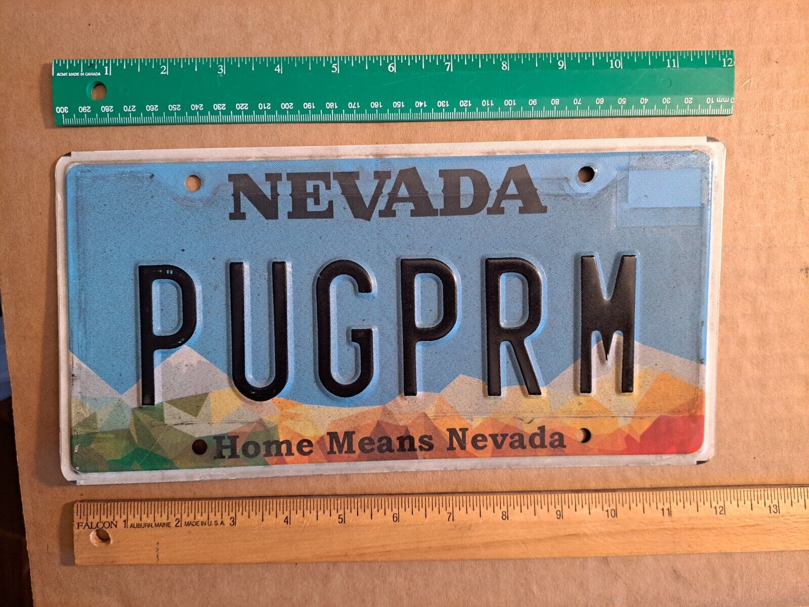 License Plate, Nevada, PUG PRM, Pug (dog) Prom, Pug Dance: run into parked car