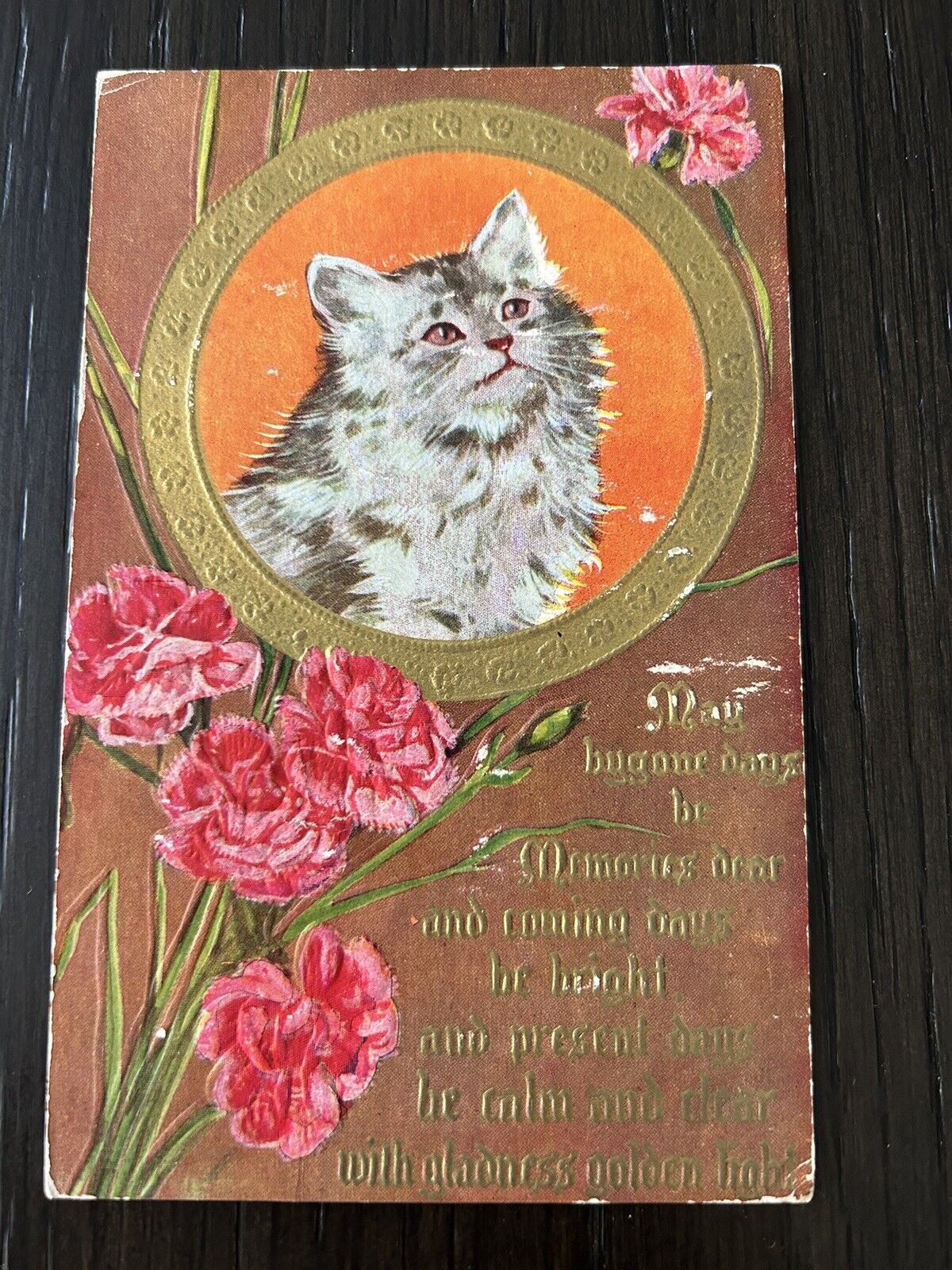 Cat / 1910 Postcard 