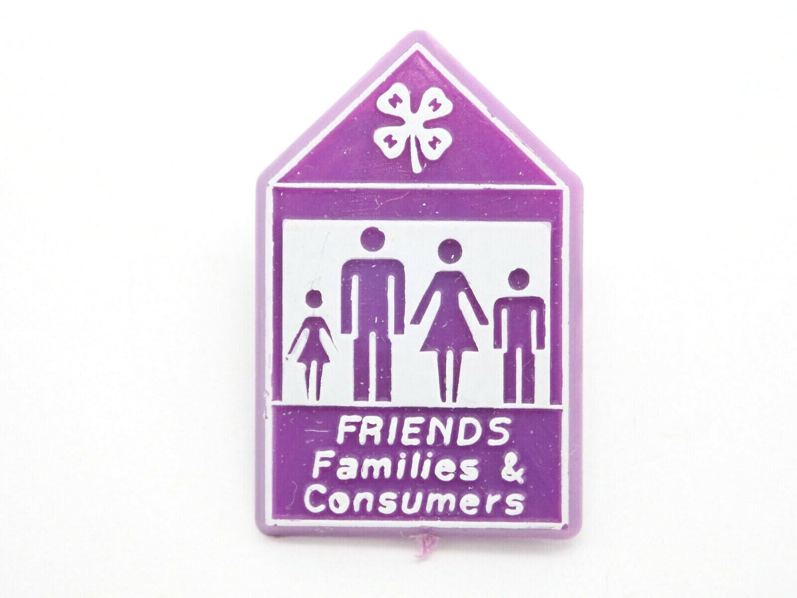 Friends Families and Consumers 4-H Vintage Lapel Pin
