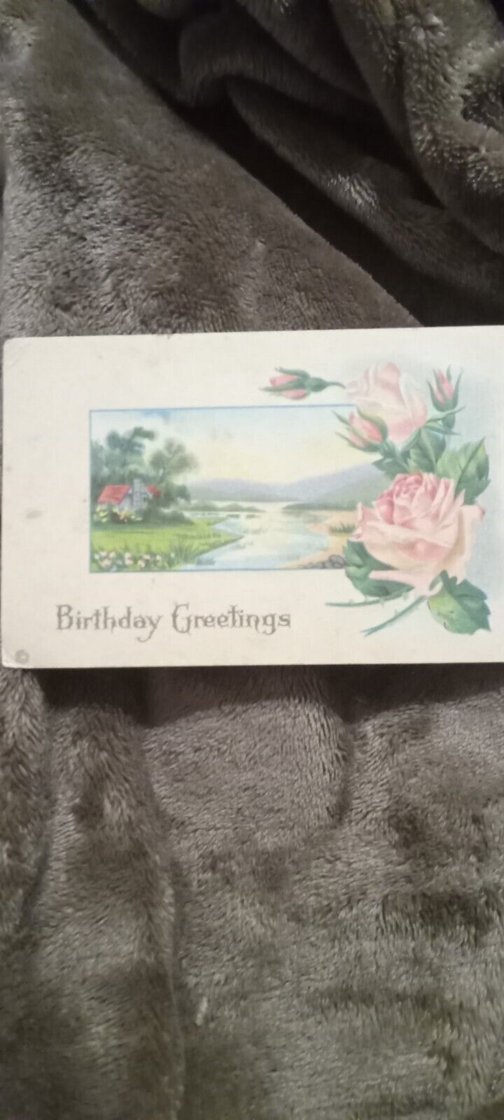 Vintage Birthday Greetings Postcard