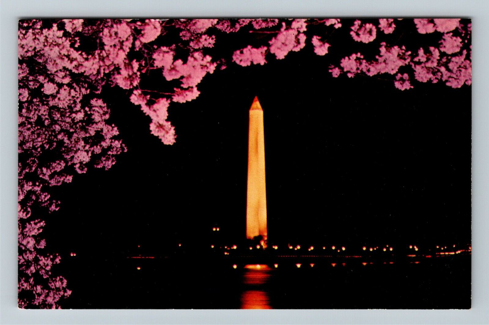 Washington D.C., Washington Mon. & Blooming Cherry Tree  Vintage Postcard