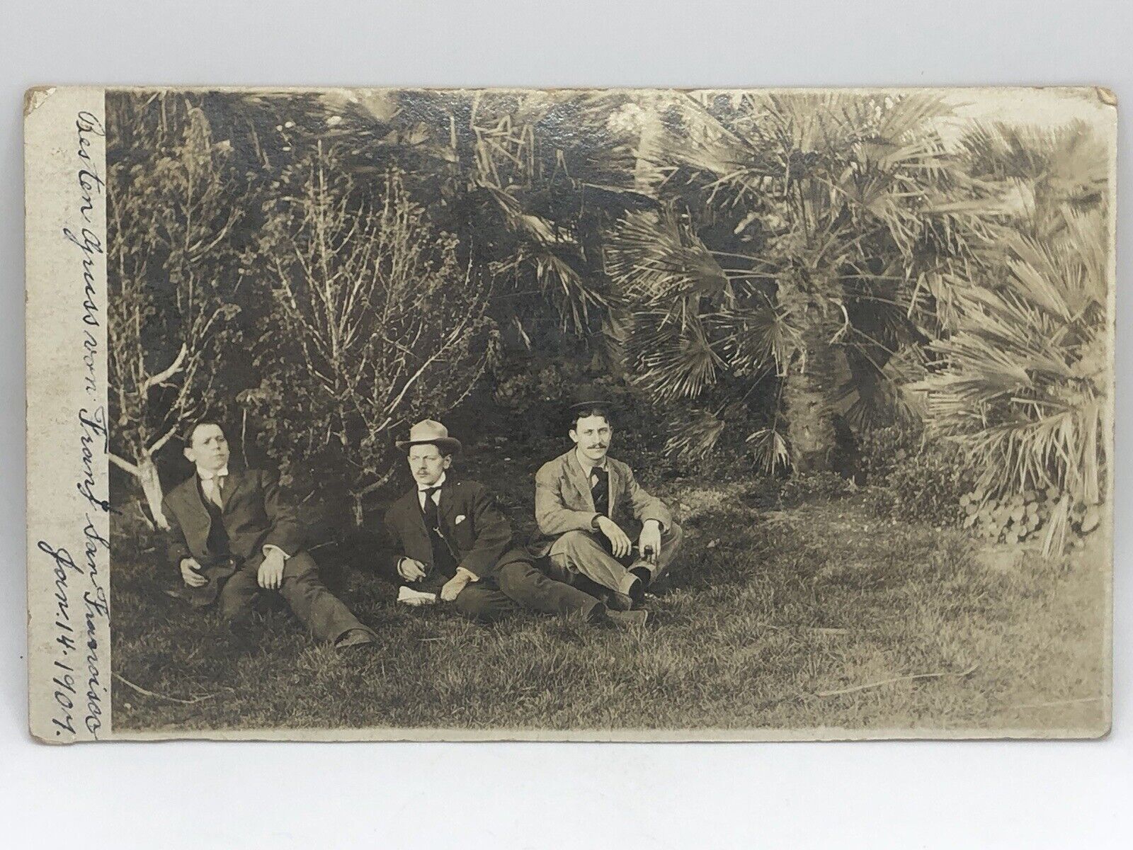 Postcard Three Men sitting on Grass San Francisco California Real Photo