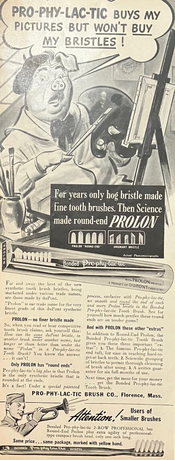 Rare 1940s Vintage Original Tooth Brush Prophylactic Dentistry Advertisement Pig