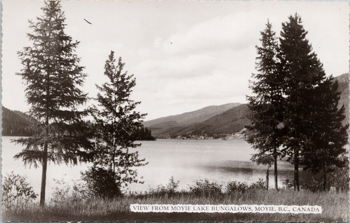 Moyie BC View from Moyie Lake Bungalows Unused Canadian Ltd RPPC Postcard F66