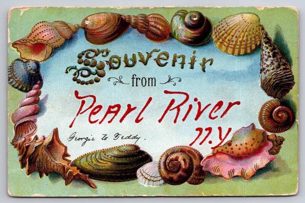 eStampsNet - Souvenir from Pearl River NY Seashells Embossed Postcard 