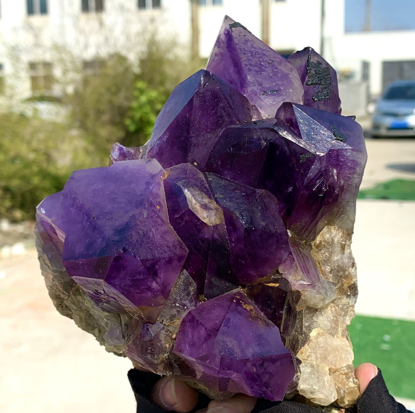 3.53LB Natural Amethyst geode quartz cluster crystal specimen Healing