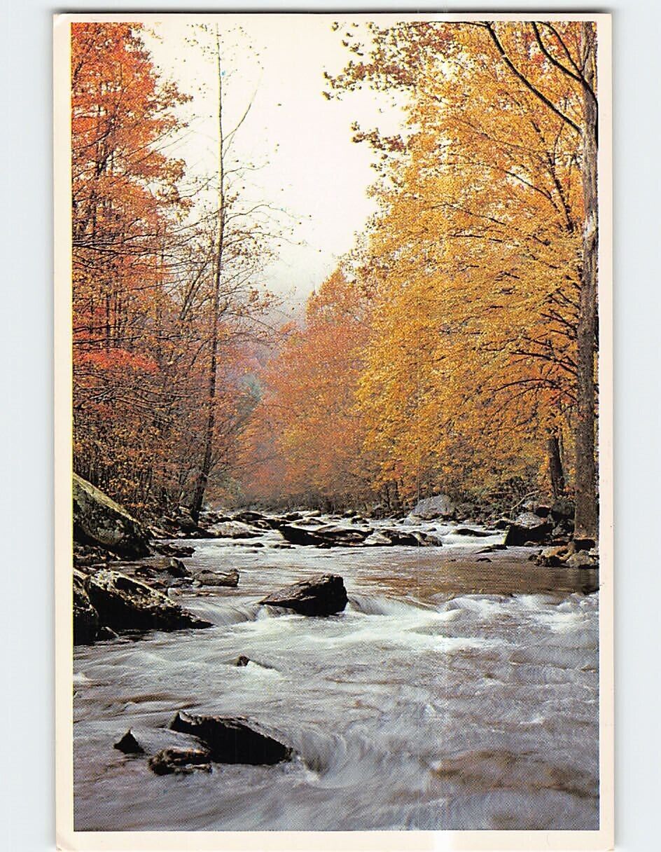 Postcard Autumn Along the River Scene