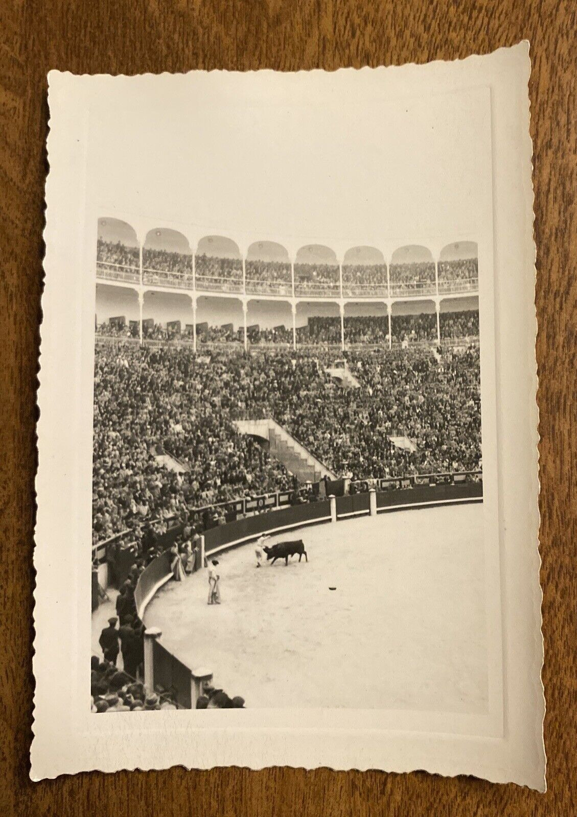 1947 Plaza de Toros de Las Ventas Bullfighting Ring Madrid Spain Photo P10u18