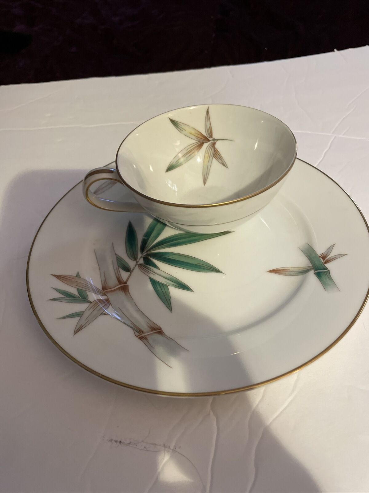 Noritaki Vintage Tea cup and Plate Bamboo Design