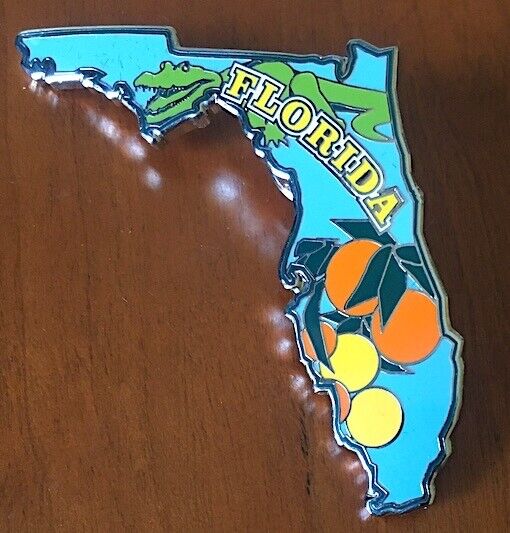 FLORIDA ~ Willabee & Ward ~ STATE PIN ~ United States Collector Pins + INFO CARD