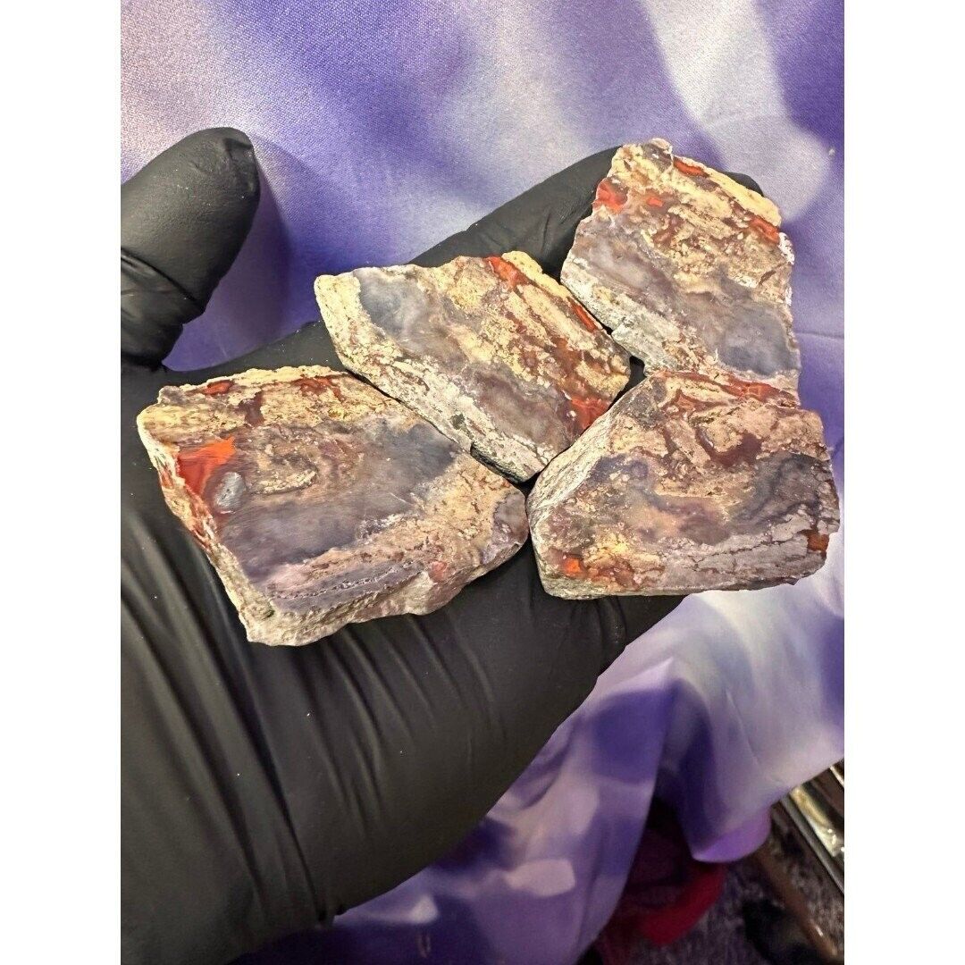 4 pc Moroccan Agate Nodule Cut and Polished (AG22)