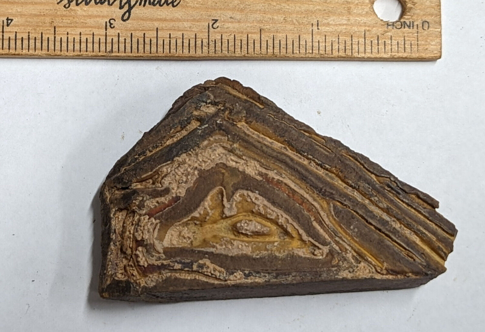 Pre Cambrian STROMATOLITE From Morocco - The worlds oldest Fossil (#F3619)