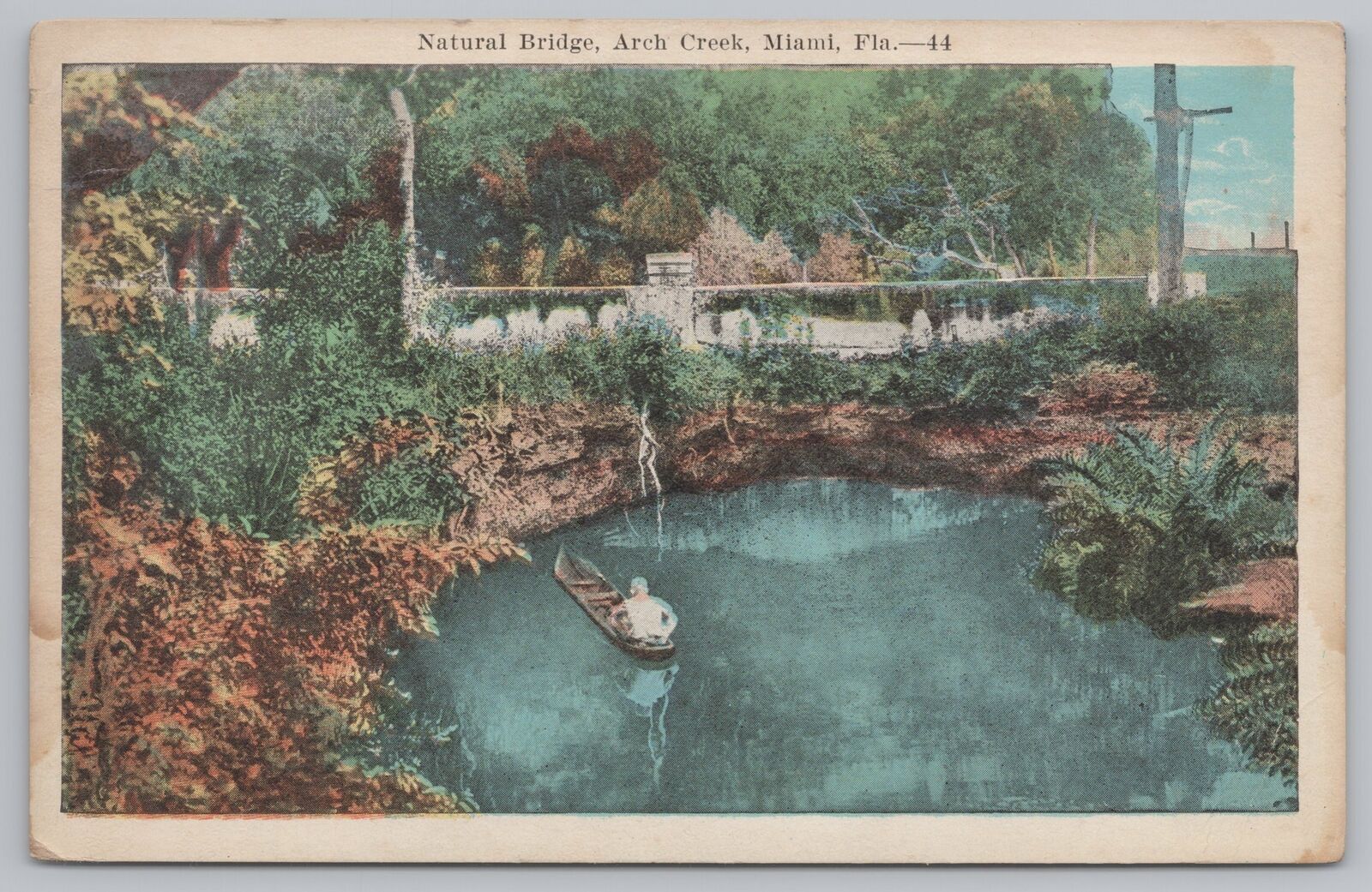 State View~Natural Bridge Arch Creek Miami Florida~Vintage Postcard