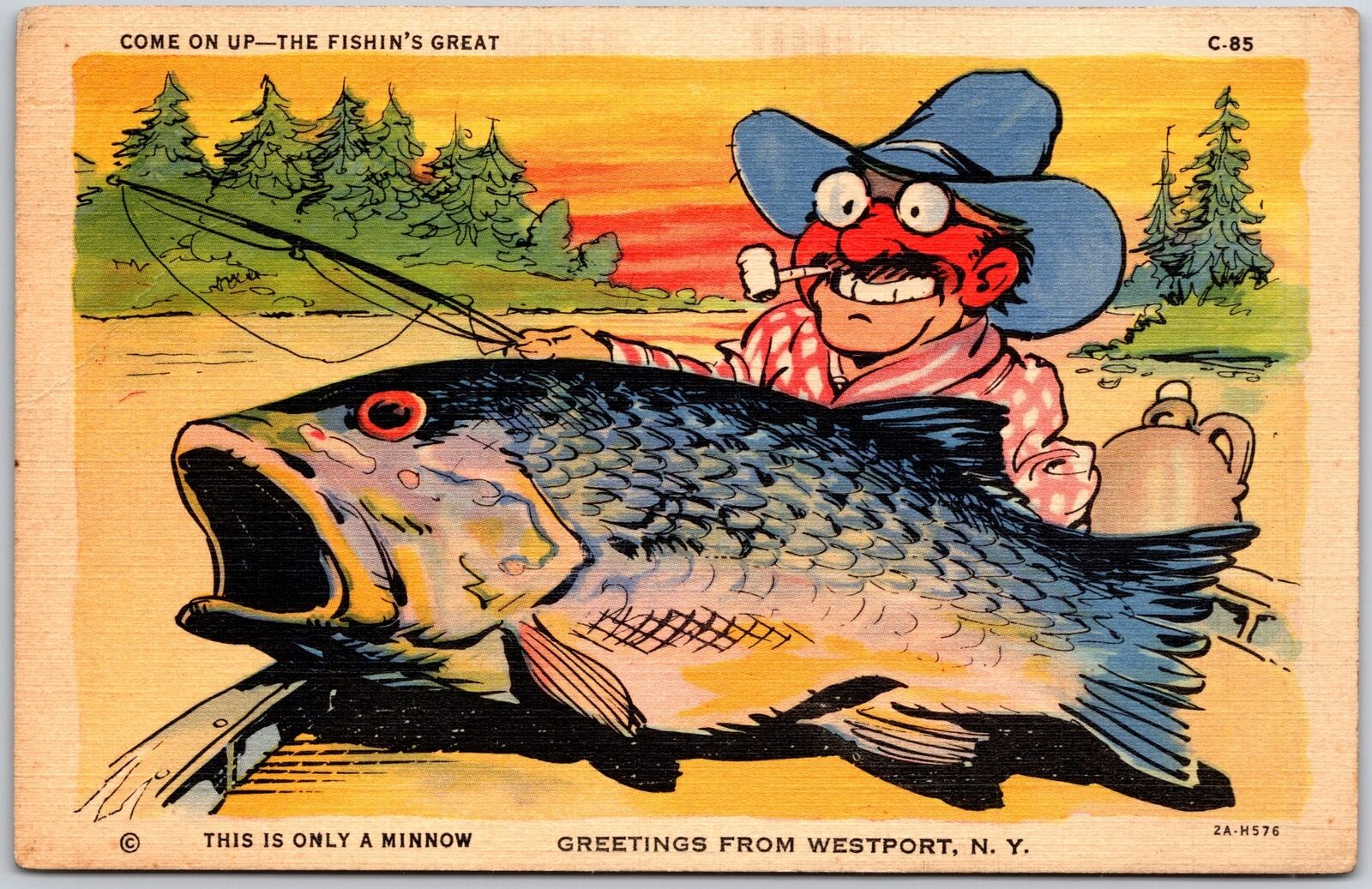 Come On Up -The Fishin\'s Great Greetings From Westport New York Comic Postcard