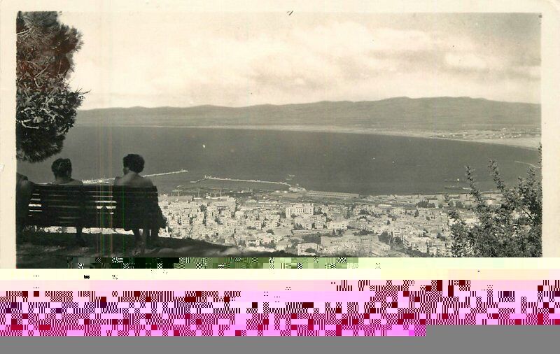 Israel Haifa Panorama 1960s #632 RPPC Photo Postcard 22-9242
