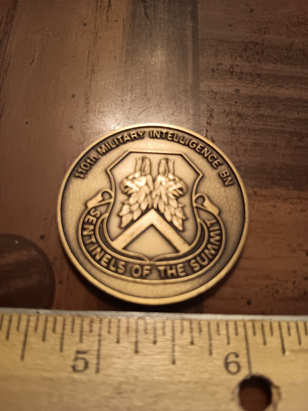 110th Military Intelligence Battalion Commander 10 Mountain Div. Coin (23SL1-46)