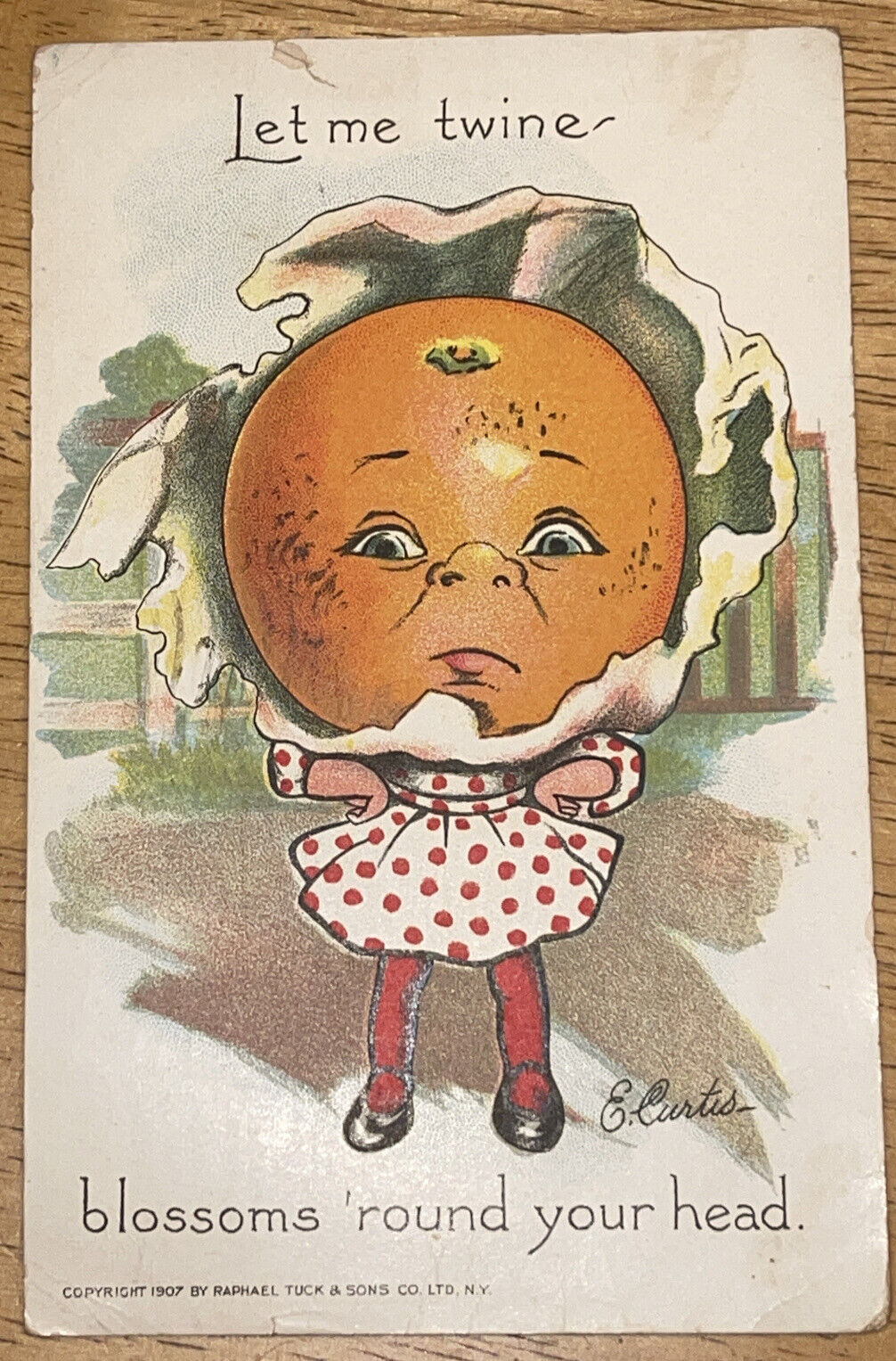 Antique 1908 Red 2 Cent Washington Stamp w Postcard The Garden Patch Orange Head