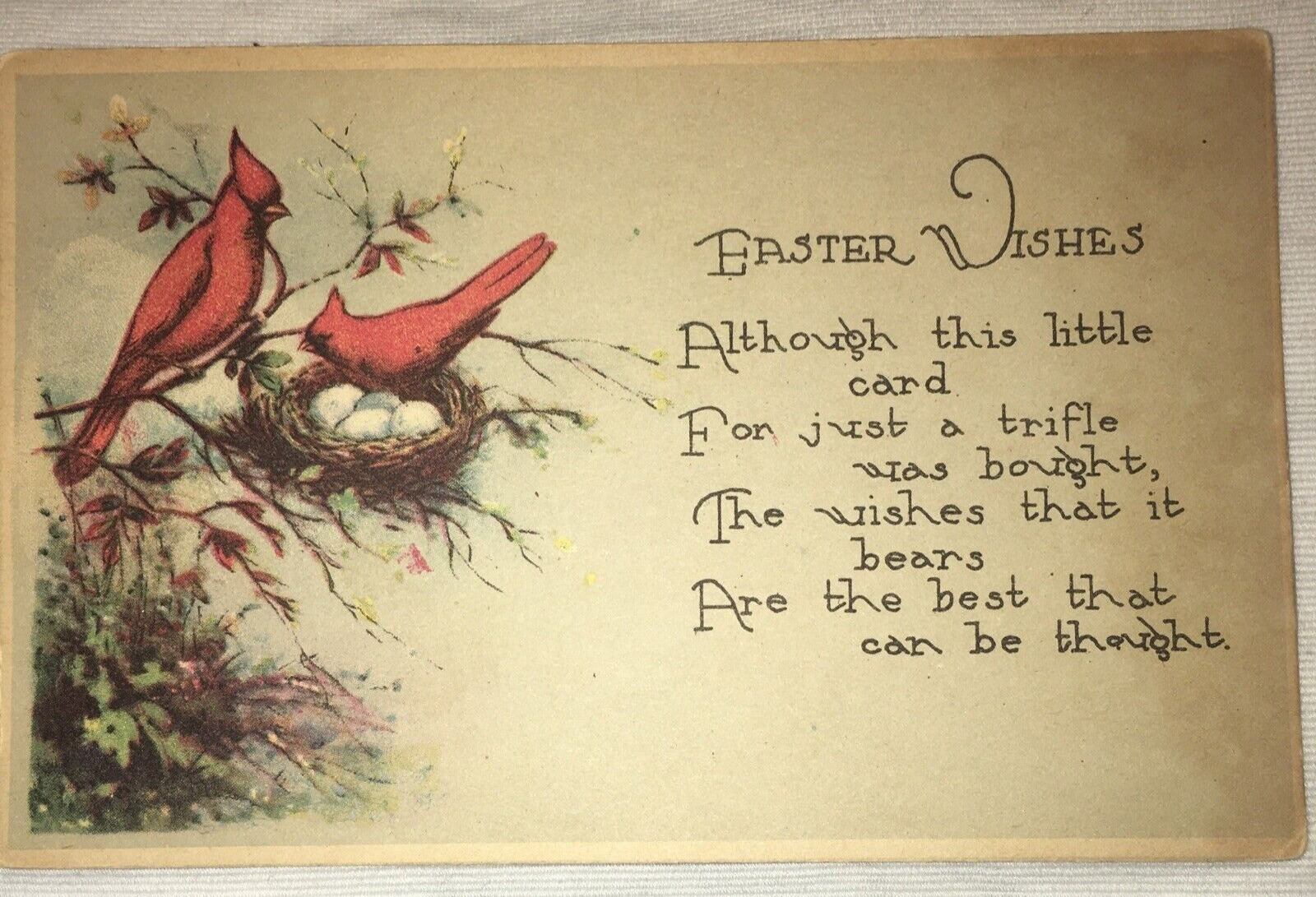 Vintage Postcard Easter Wishes Postcard Red Cardinal Birds In Nest