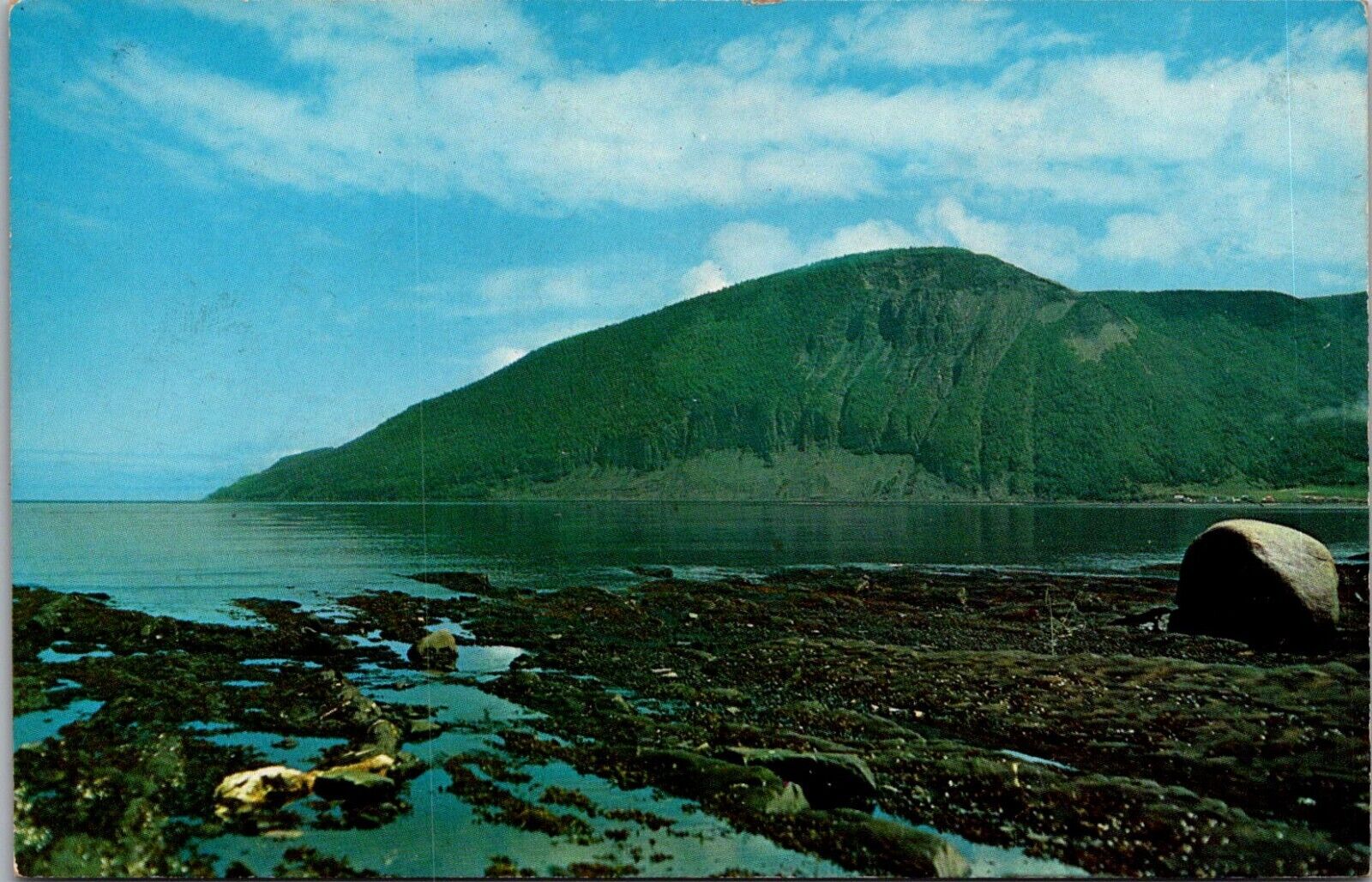 Mont St Pierre Quebec Postcard Water Rocks Trees