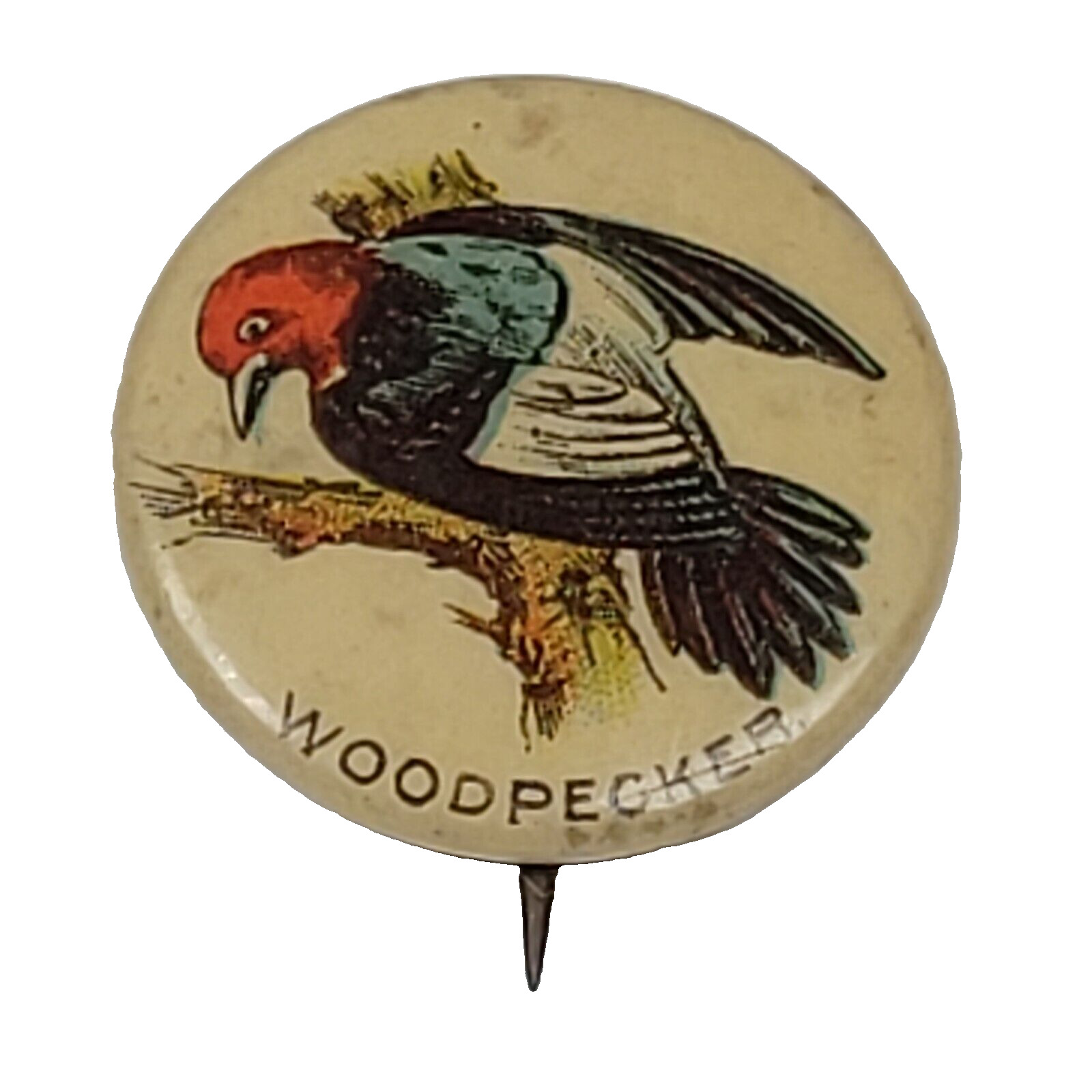 ATQ 1890s Woodpecker Whitehead & Hoag Pepsin Gum Bird Pinback Button Newark NJ