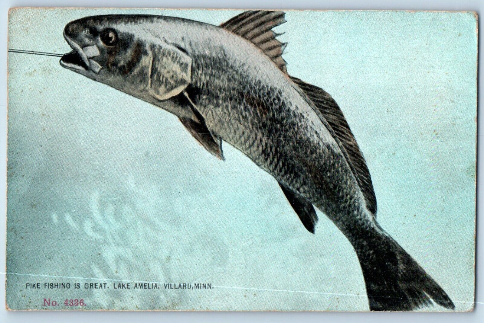 Villard Minnesota Postcard Pike Fishing Is Great Lake Amelia West Port DPO 1910