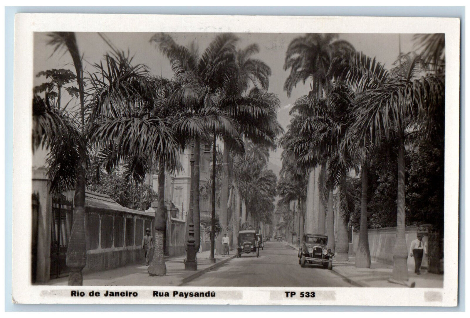 Rio De Janeiro Brazil Postcard Rua Paysandu Trees View c1940's RPPC Photo