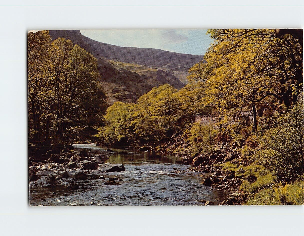 Postcard River Derwent Borrowdale England