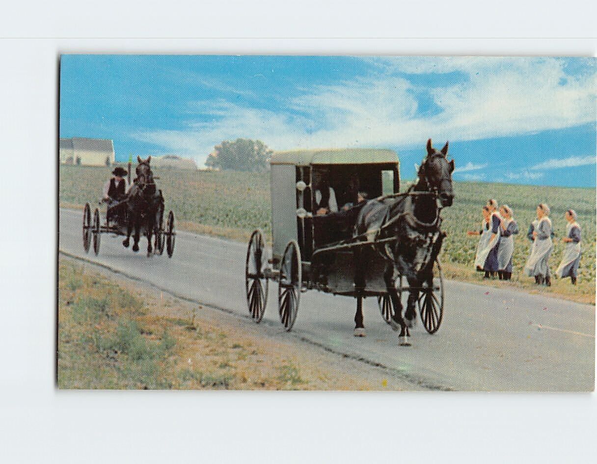 Postcard An Amish Family Carriage, Greetings from The Amish Country, PA