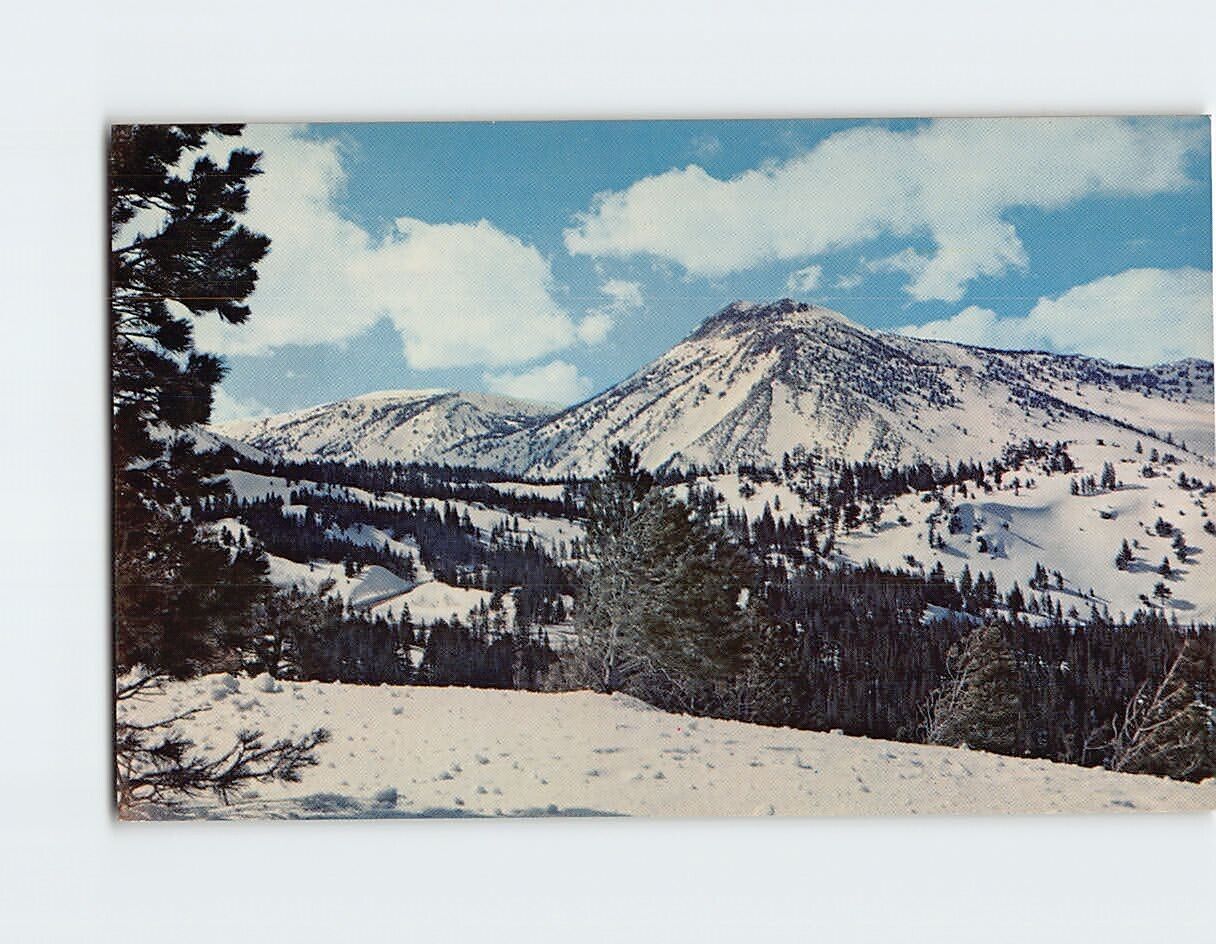 Postcard Mount Rose Southwest of Reno Nevada USA