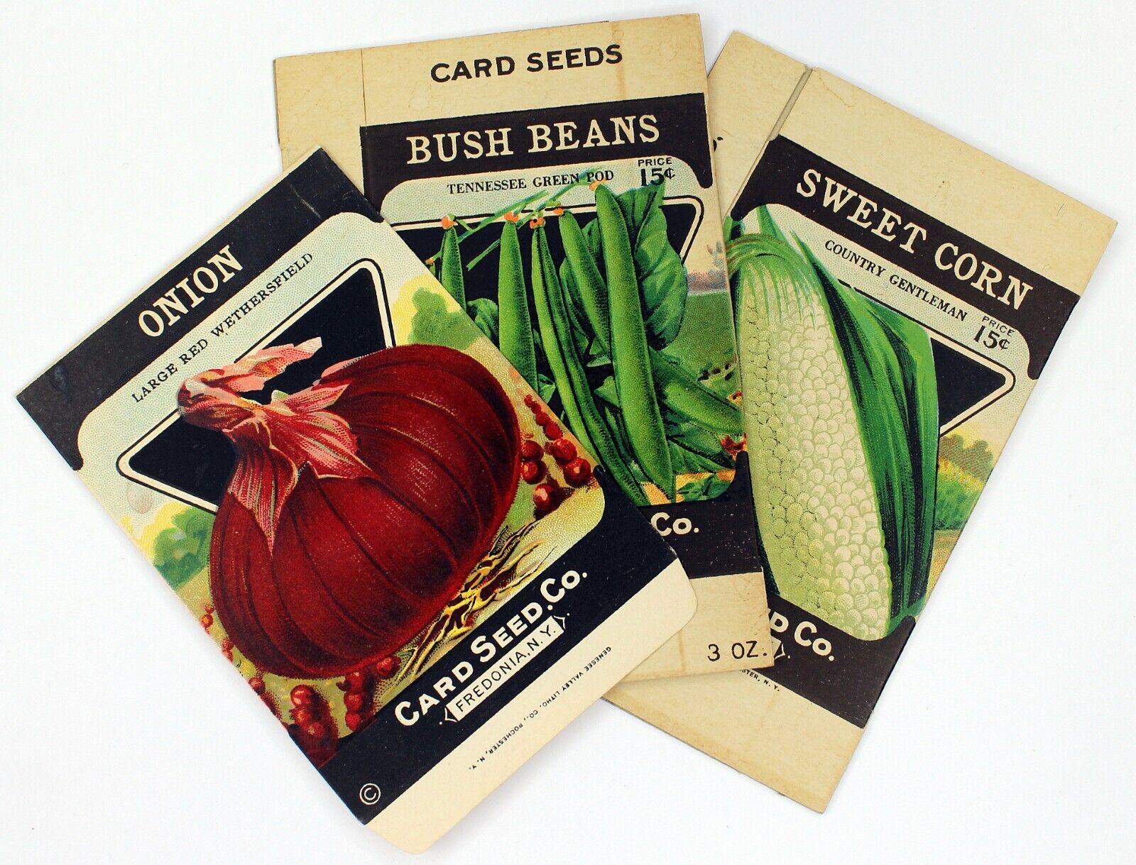3 Vintage CARD SEED CO Packets 1930s/1940s Beans Corn Onion Color Lithographs